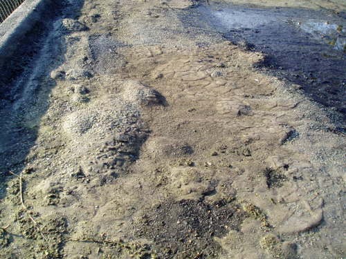 beschadigingen door wateraccumulatie